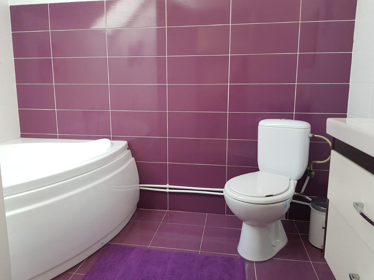 Diane'S Apartament シビウ エクステリア 写真
